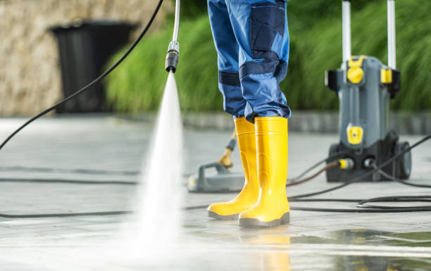 Best Roof Pressure Washing  in De Motte, IN